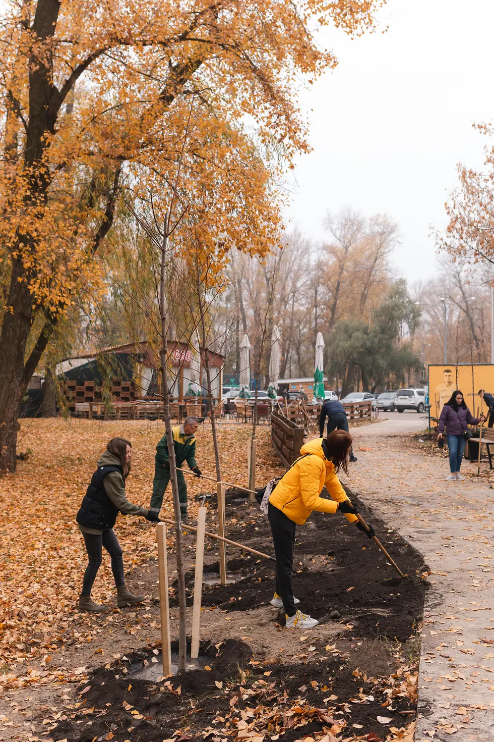 Бренди Henkel створили зелені паркові локації у чотирьох містах України